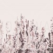 Painted Forest, Rose, Photowall