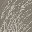 Grass, Brown, Photowall