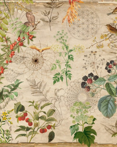 Tapet floral cu accente geometrice, ideal pentru a decora un living sau un dormitor.