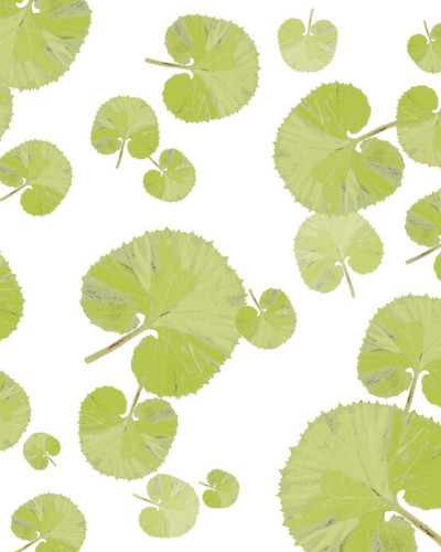 Wallpaper cu frunze verzi pe fond alb, in living