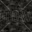 Meadow, Dark Grey, Photowall