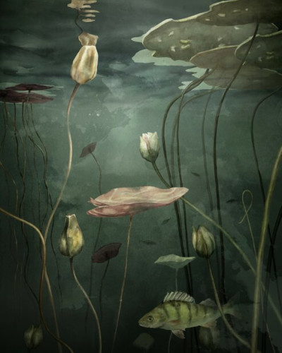 Below the Surface II, Photowall