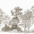 Away From The Trail, Antique Taupe, Photowall