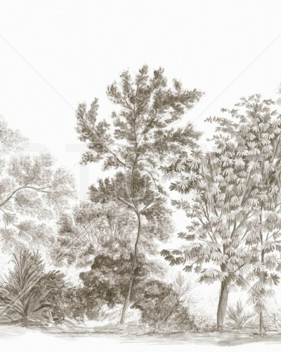 Away From The Trail, Antique Taupe, Photowall
