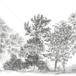 Away From The Trail, Elegant Grey, Photowall