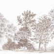 Away From The Trail, Velvet Taupe, Photowall