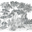 The Long Walk, Almost Black - Panorama, Photowall