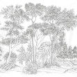The Long Walk, Classic Grey - Panorama, Photowall