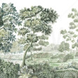 Old Forest, Serene Green - Panorama, Photowall