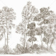Away From The Trail, Antique Taupe - Panorama, Photowall