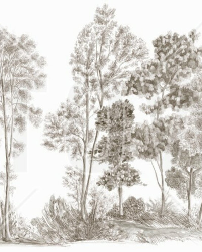 Tapet Away From The Trail, Antique Taupe - Panorama