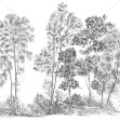 Away From The Trail, Elegant Grey - Panorama, Photowall