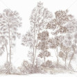 Away From The Trail, Velvet Taupe - Panorama, Photowall