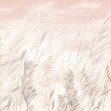 Wild Grass II, Photowall