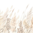 Wild Grass III, Photowall