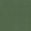 Solidum - Green, Photowall