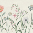 Pompon II, Photowall