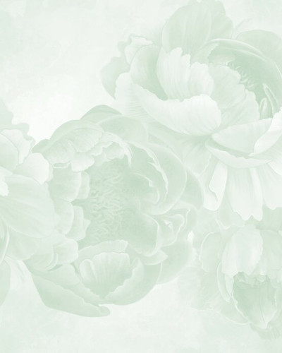 Peony - Green, Photowall