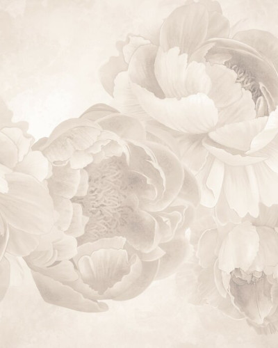 Peony - Beige, Photowall