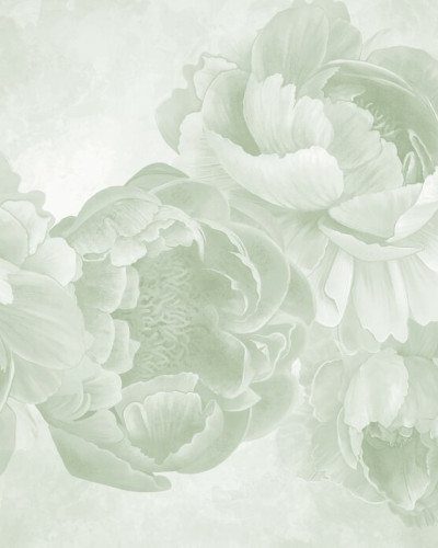Peony - Dark Green, Photowall