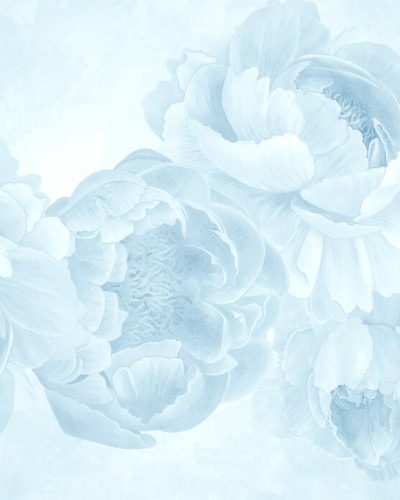Peony - Light Blue, Photowall