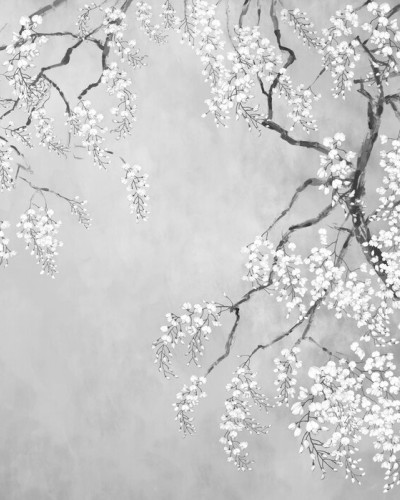 Blossom Wisteria - BW, Photowall