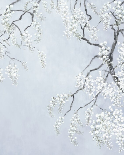 Blossom Wisteria - Blue, Photowall