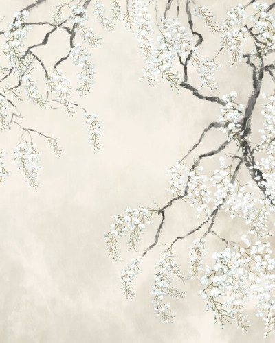 Blossom Wisteria - Beige, Photowall