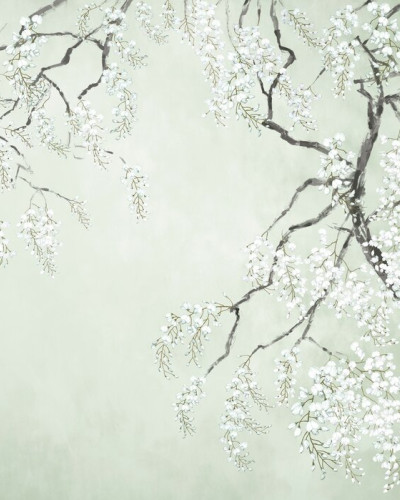 Blossom Wisteria - Green, Photowall