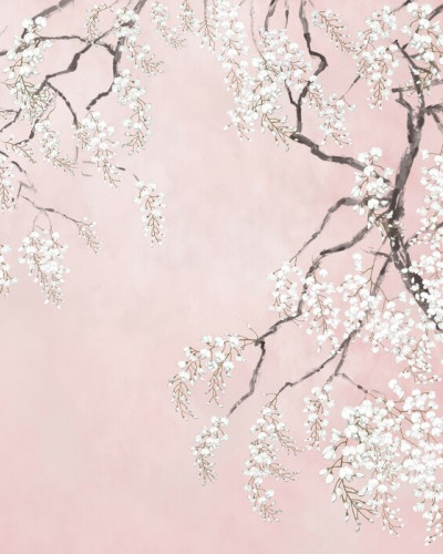 Blossom Wisteria - Pink, Photowall
