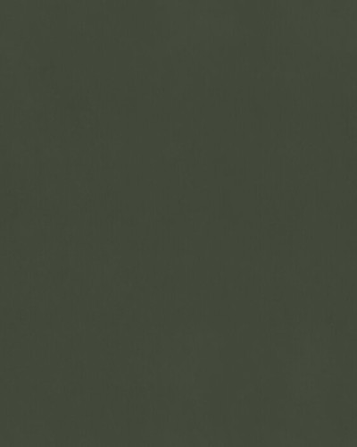 Fototapet verde măsliniu în bucătărie modernă
