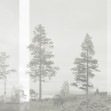Panorama, Beige, Photowall
