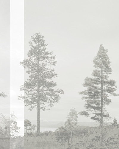 Panorama, Beige, Photowall