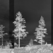 Panorama, Black, Photowall