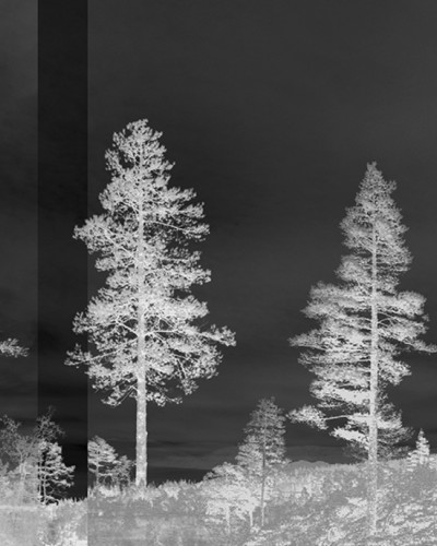 Panorama, Black, Photowall