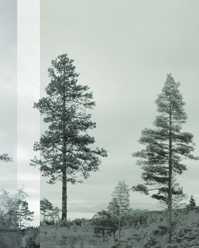 Panorama, Bluegreen, Photowall