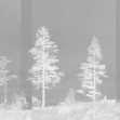 Panorama, Dark Grey, Photowall