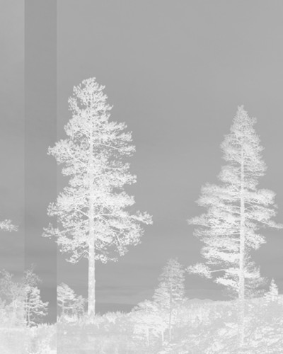 Panorama, Dark Grey, Photowall