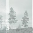 Panorama, Pale Bluegreen, Photowall