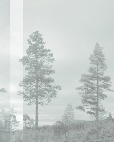Panorama, Pale Bluegreen, Photowall