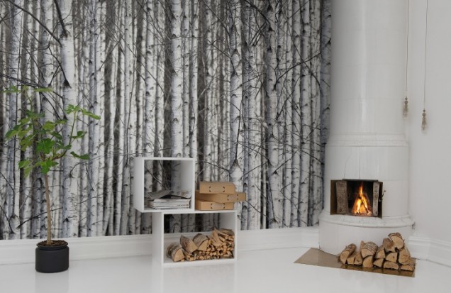 3D Photo Wallpaper Birch Trunks, Rebel Walls