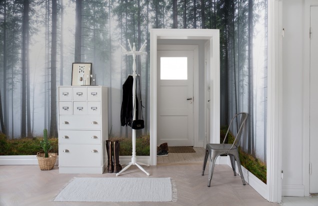 3D Photo Wallpaper Forest Glade, Rebel Walls