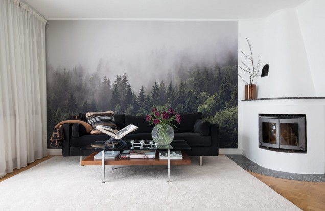 Misty Fir Forest Wallpaper - Forest in Mist