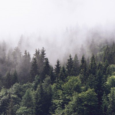 Misty mountain slope - personalized, SimplyWalls