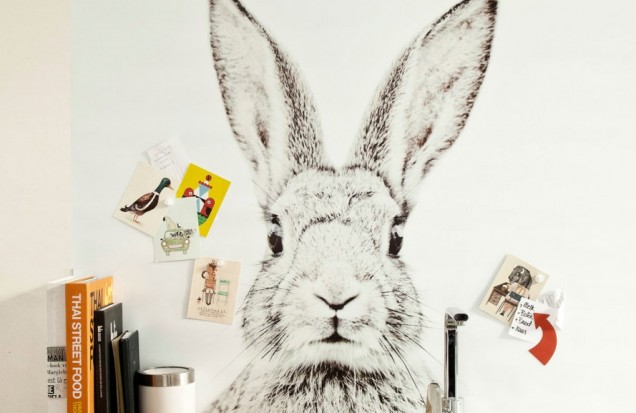 Magnetic wallpaper - Rabbit - 62X265 cm