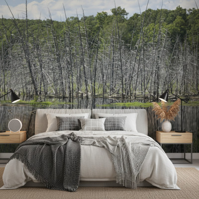 Lake trees reflecting - personalised, SimplyWalls