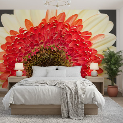 Gerbera Macro Bloom - personalised, SimplyWalls