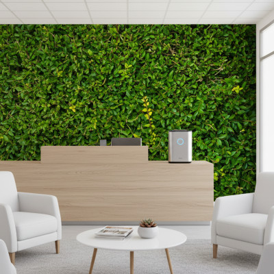 Cedar Scented Branches - personalised, SimplyWalls