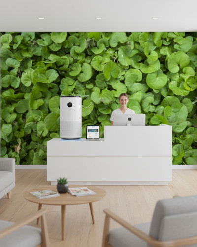 Recepție modernă cu fototapet Shaded Herb Weave personalizat pe perete, prezentând frunze verzi luxuriante. Spațiu de așteptare luminos cu mobilier alb, canapele gri și parchet, având o atmosferă proaspătă și naturală.