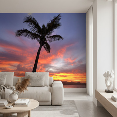 Canary Sunset Palms
